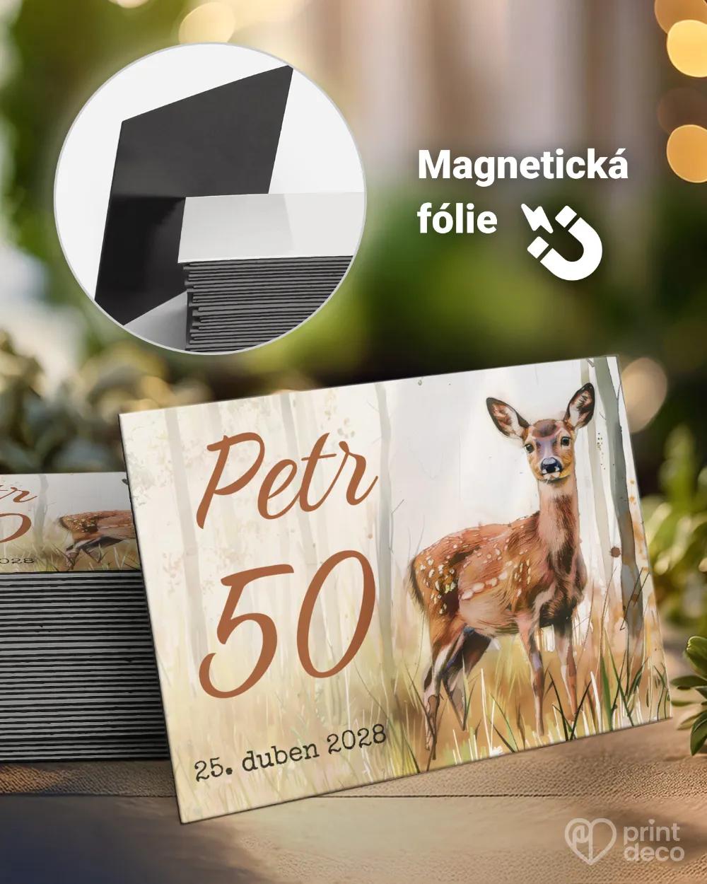 Památeční magnetky z oslavy Srna I.