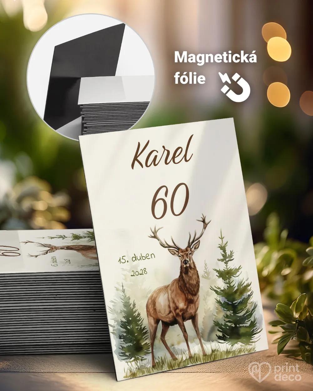 Památeční magnetky z oslavy Jelen IV.