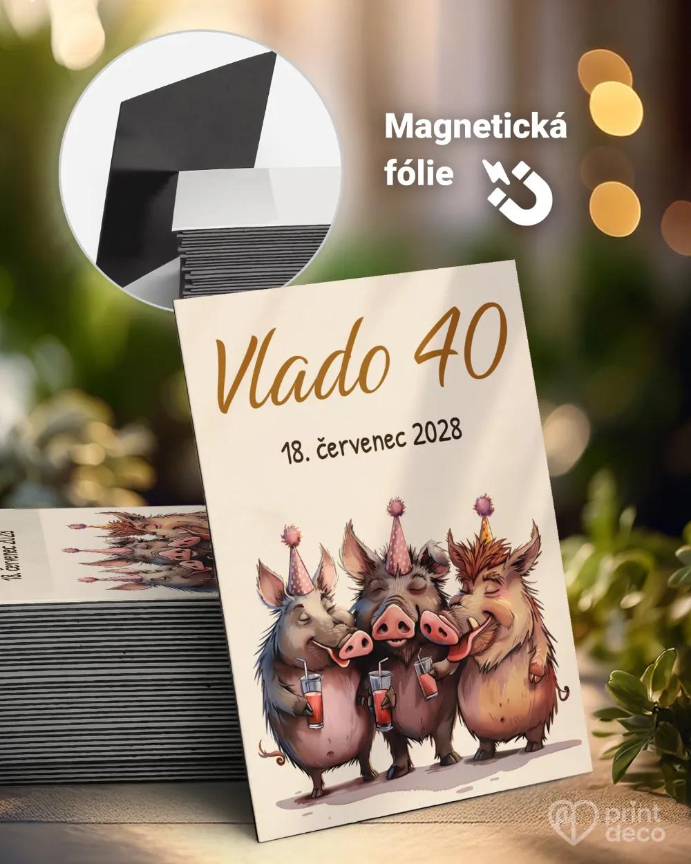 Památeční magnetky z oslavy Párty divočáků