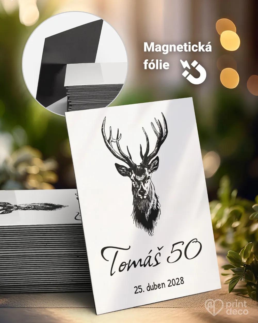 Památeční magnetky z oslavy Jelen VII.