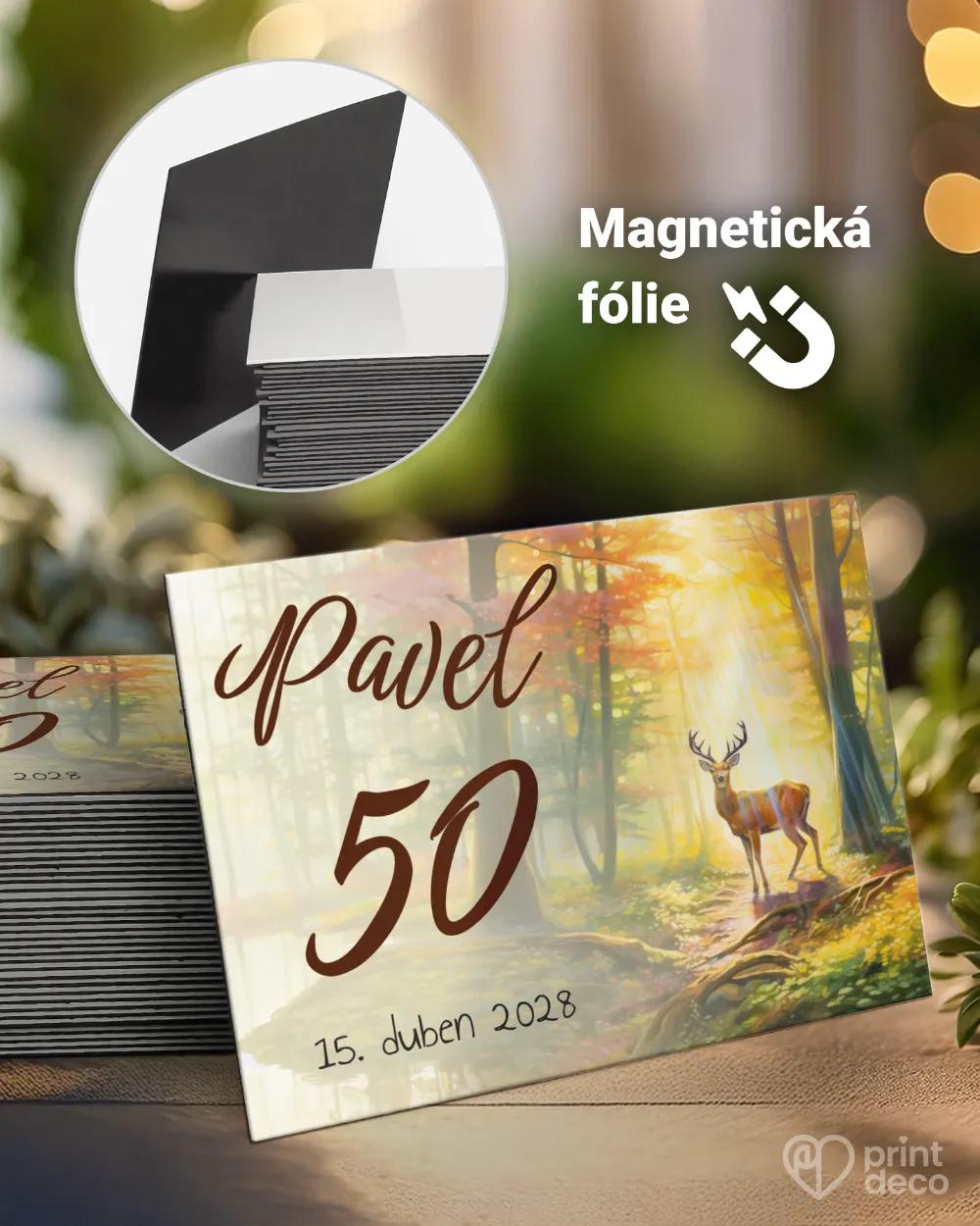 Památeční magnetky z oslavy Jelen VIII.