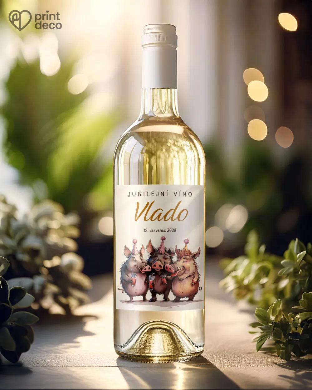 Etikety na láhve Párty divočáků 1/2