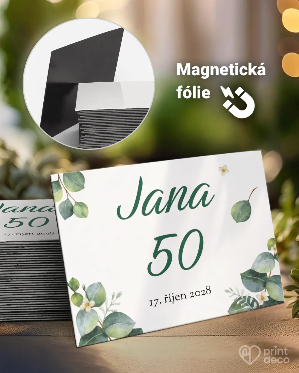 Památeční magnetky z oslavy Greenery IV.