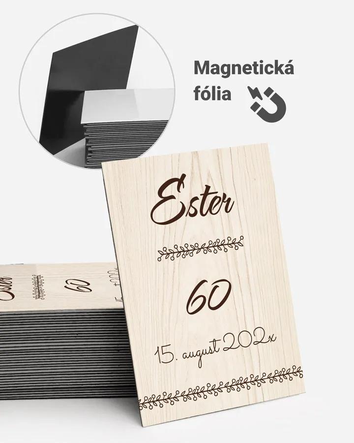 Památeční magnetky z oslavy Světlé dřevo