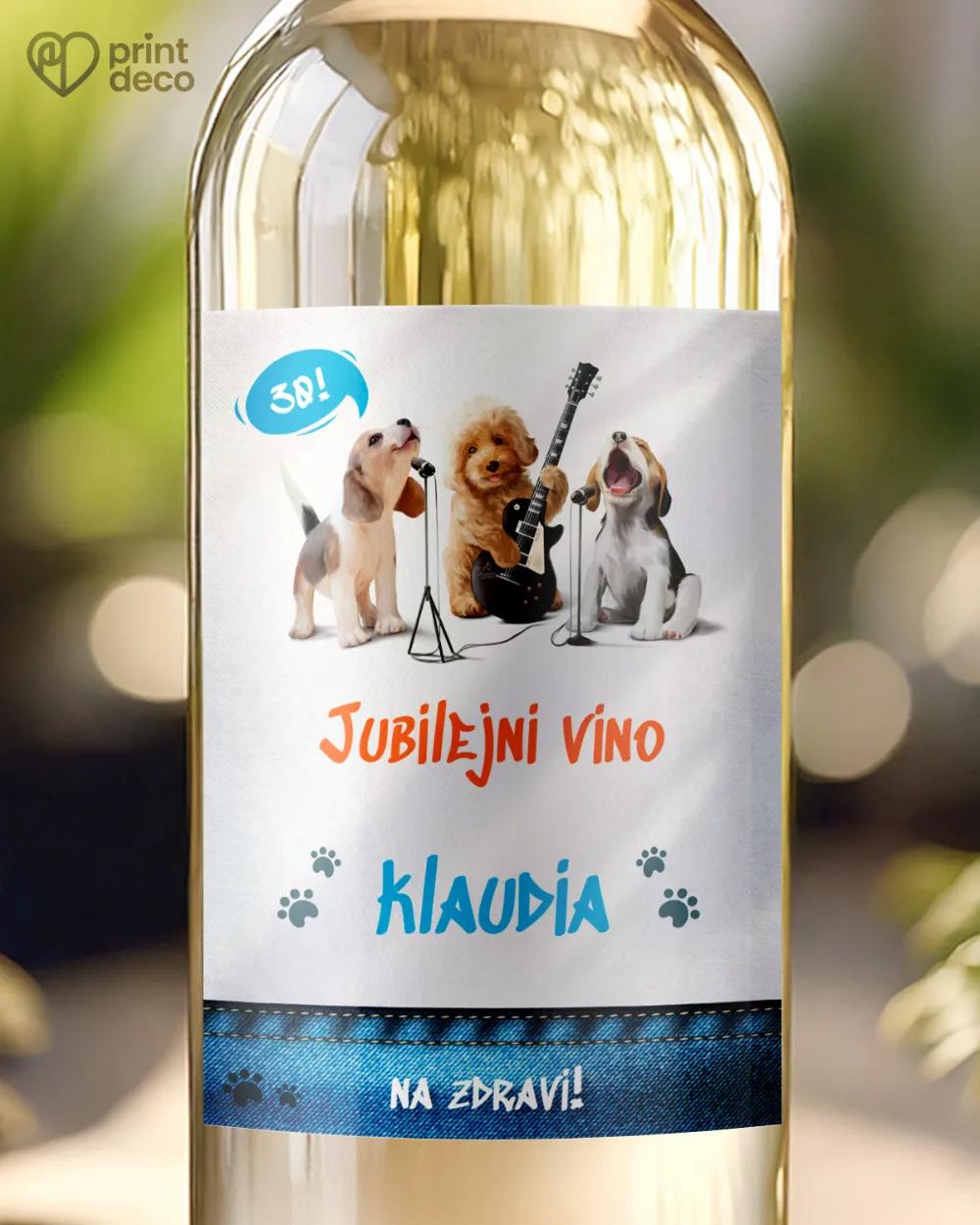 Etikety na láhve Divoká párty