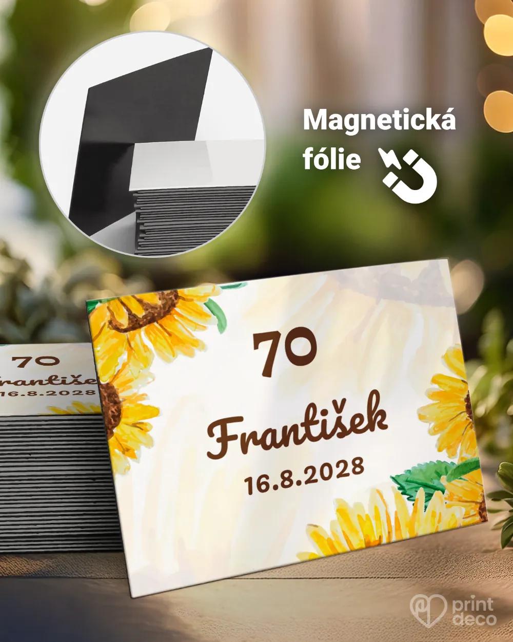 Památeční magnetky z oslavy Slunečnice