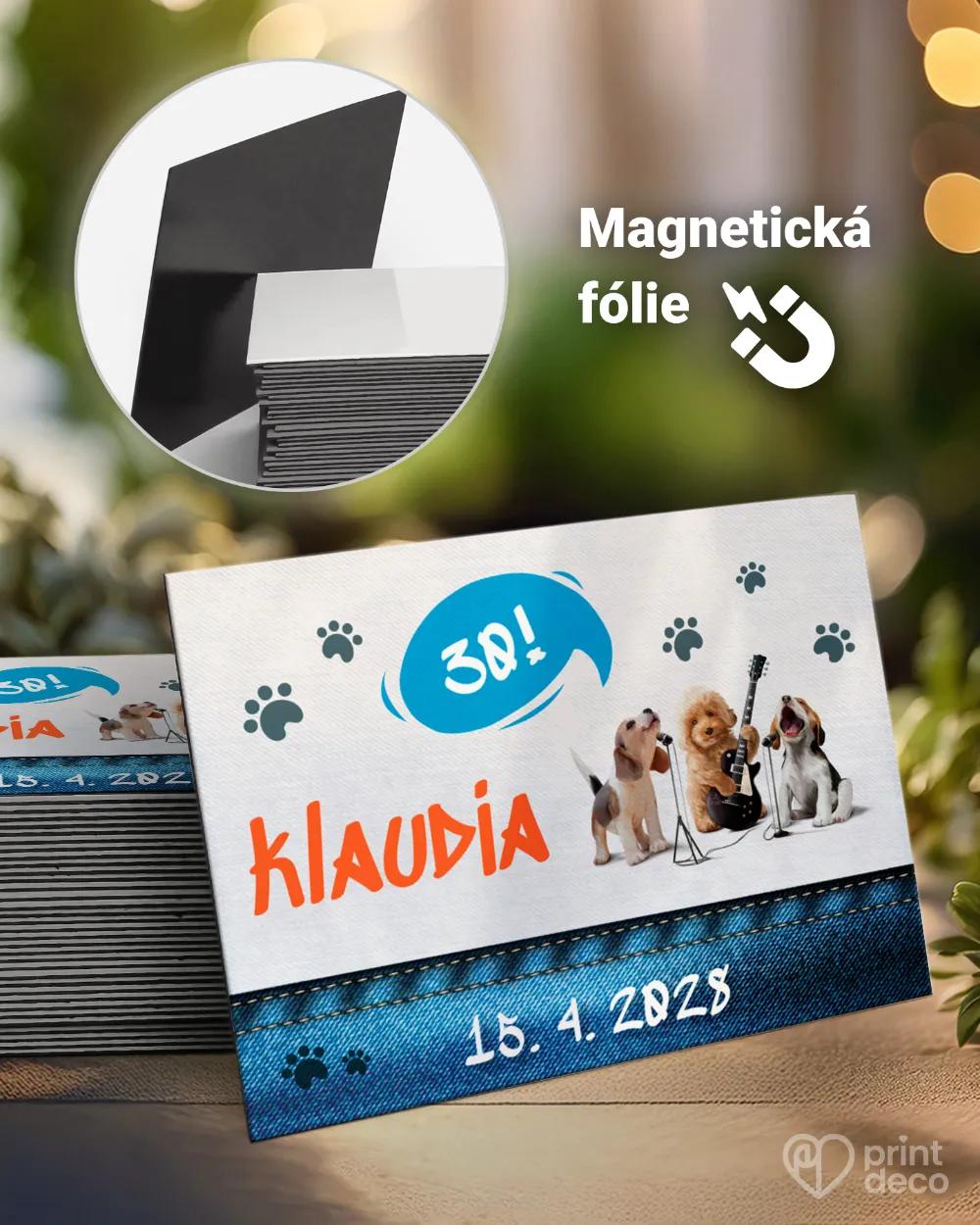 Památeční magnetky z oslavy Divoká párty