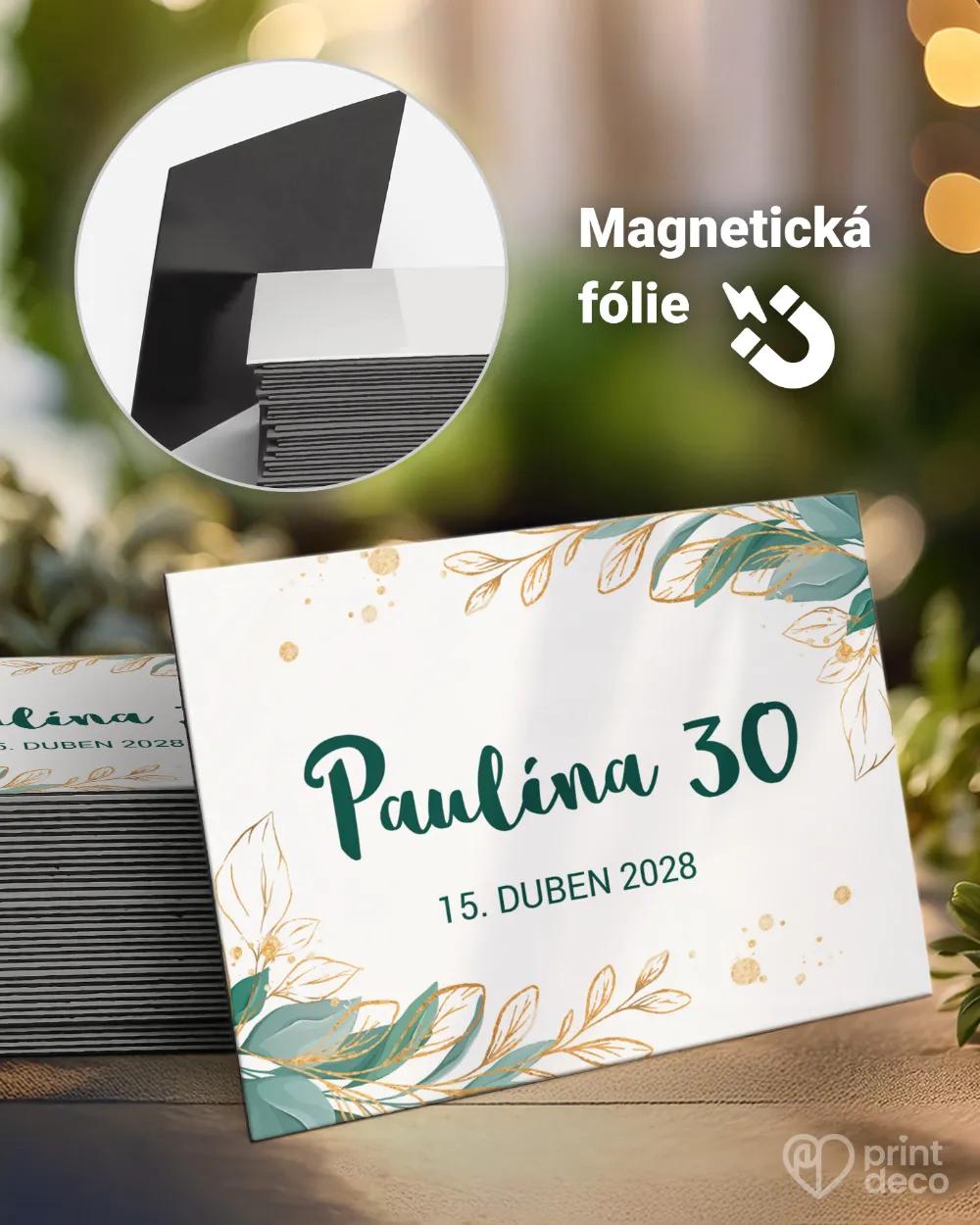 Památeční magnetky z oslavy Greenery II.