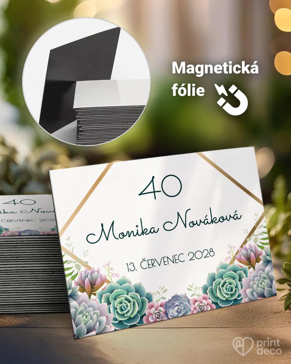 Památeční magnetky z oslavy Sukulenty