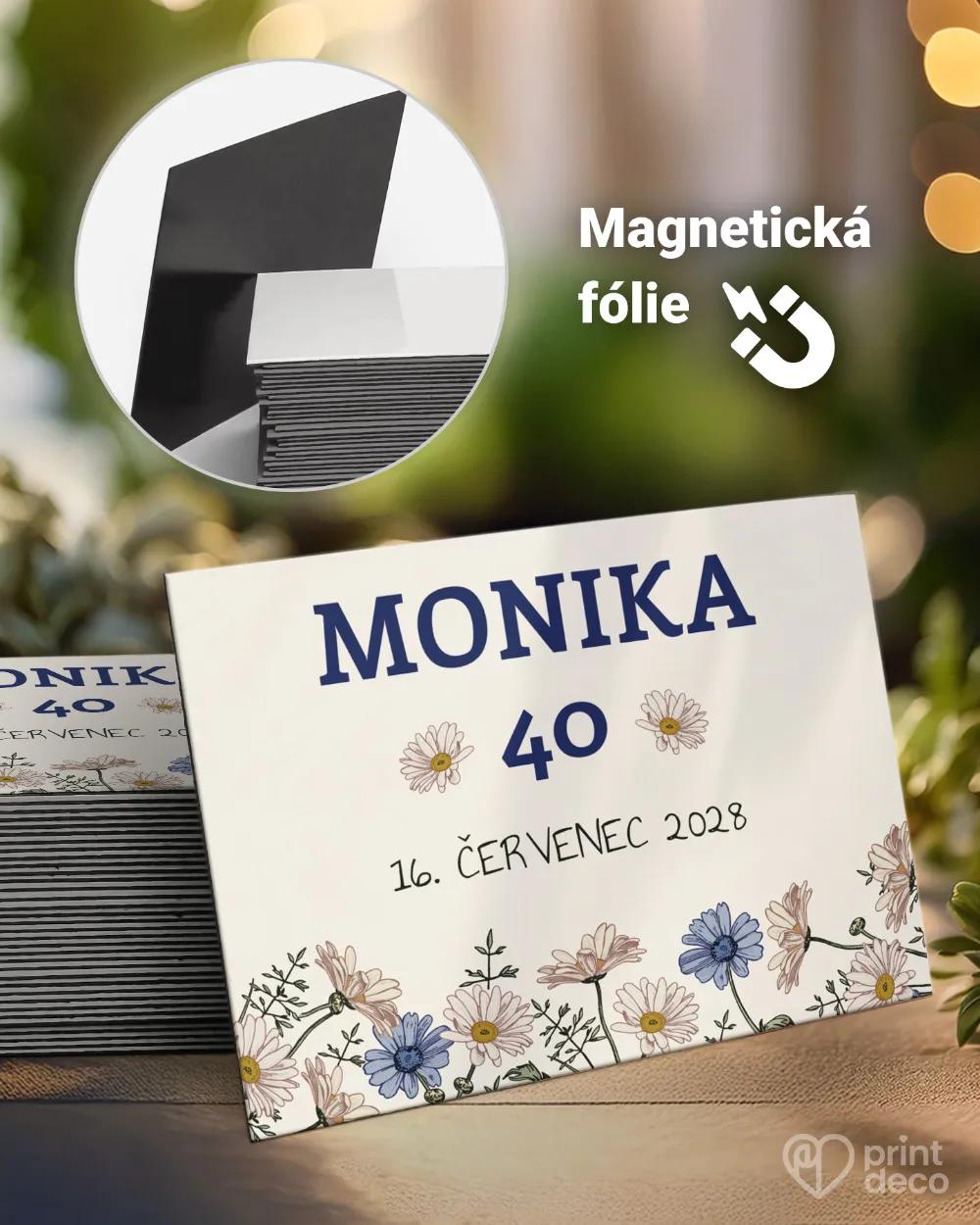 Památeční magnetky z oslavy Heřmánek