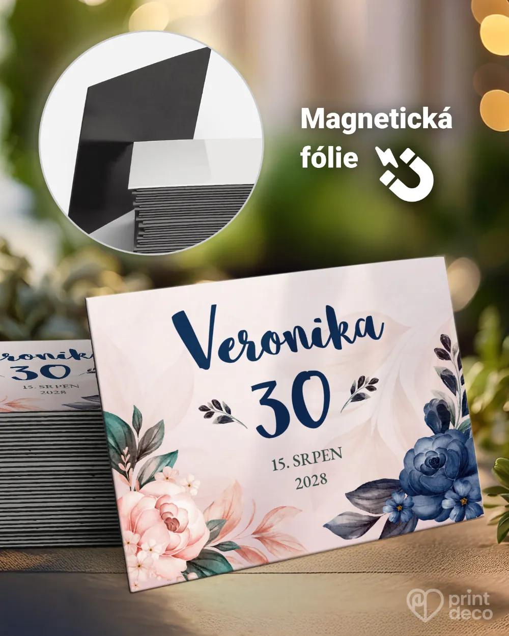 Památeční magnetky z oslavy Šípkové růže IV.