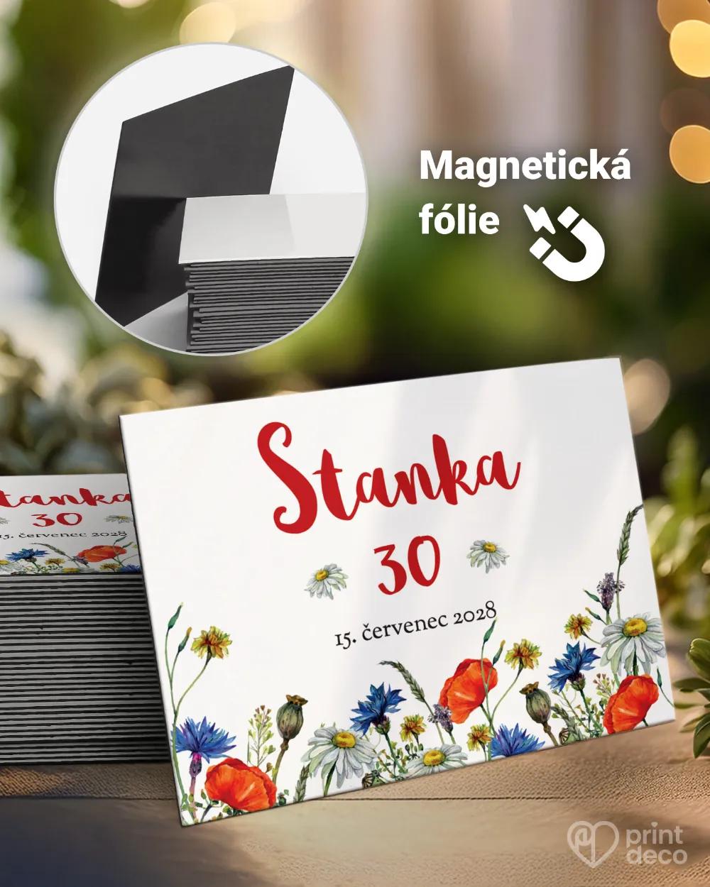 Památeční magnetky z oslavy Polní květiny III.