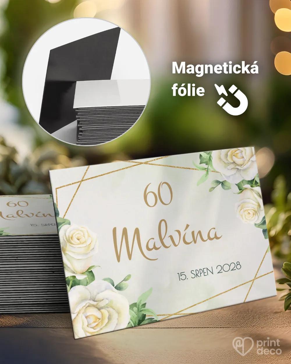 Památeční magnetky z oslavy Šípkové růže V.