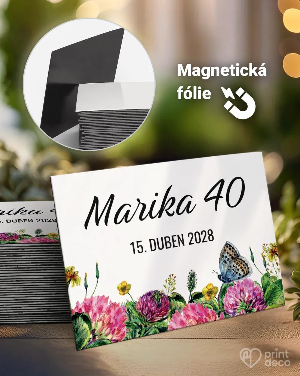 Památeční magnetky z oslavy Polní květiny IV.