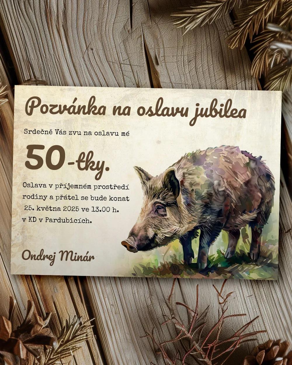 Pozvánka na narozeniny Divočák 03