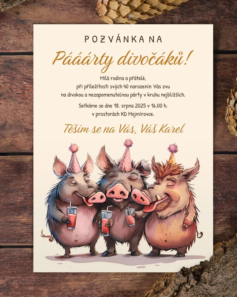 Pozvánka na narozeniny Párty divočáků