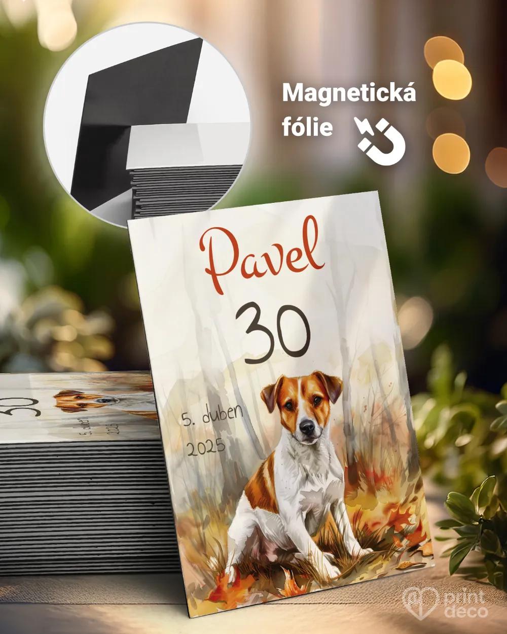 Památeční magnetky z oslavy Lovecký pes VI.