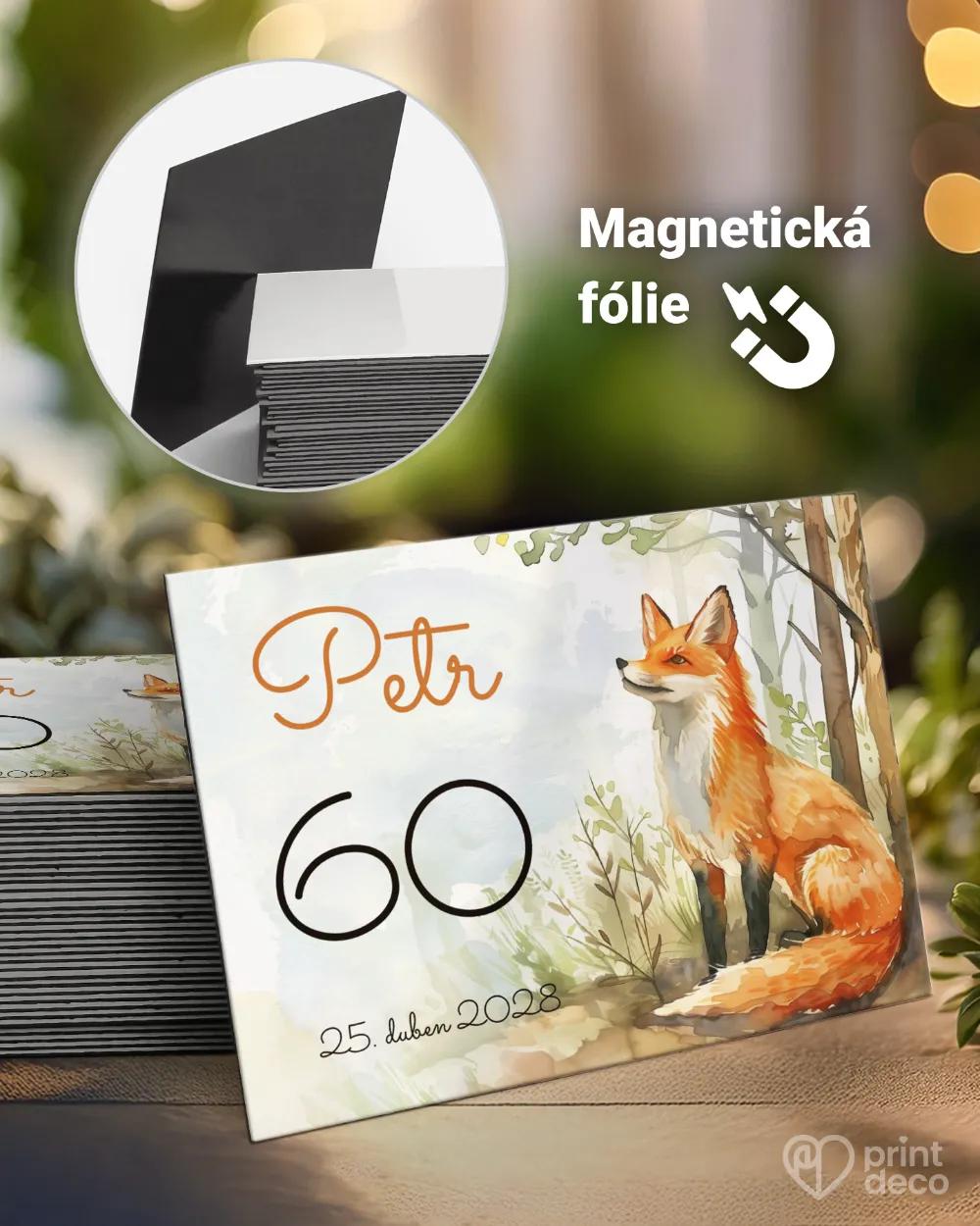 Památeční magnetky z oslavy Liška II.