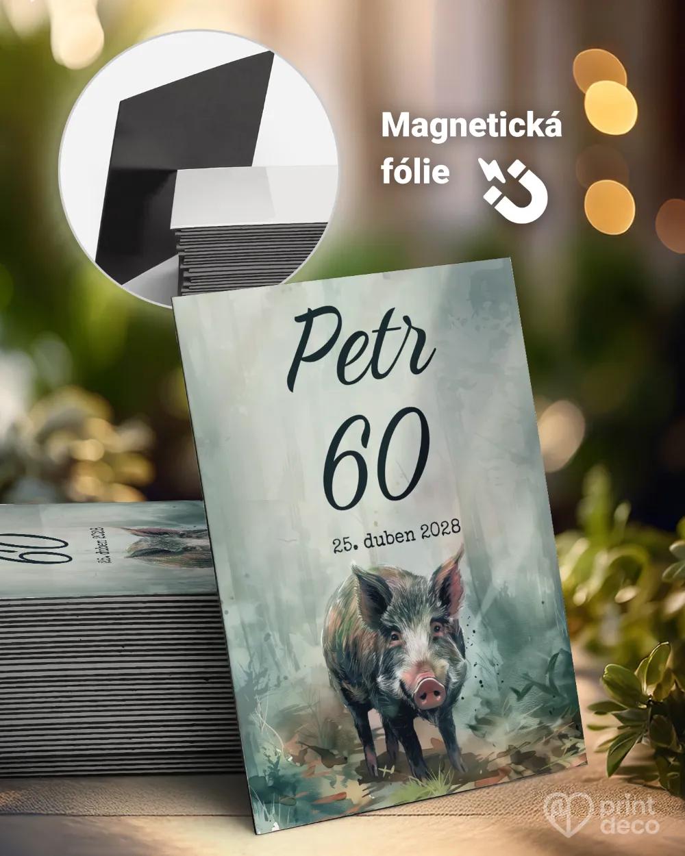 Památeční magnetky z oslavy Divočák I.