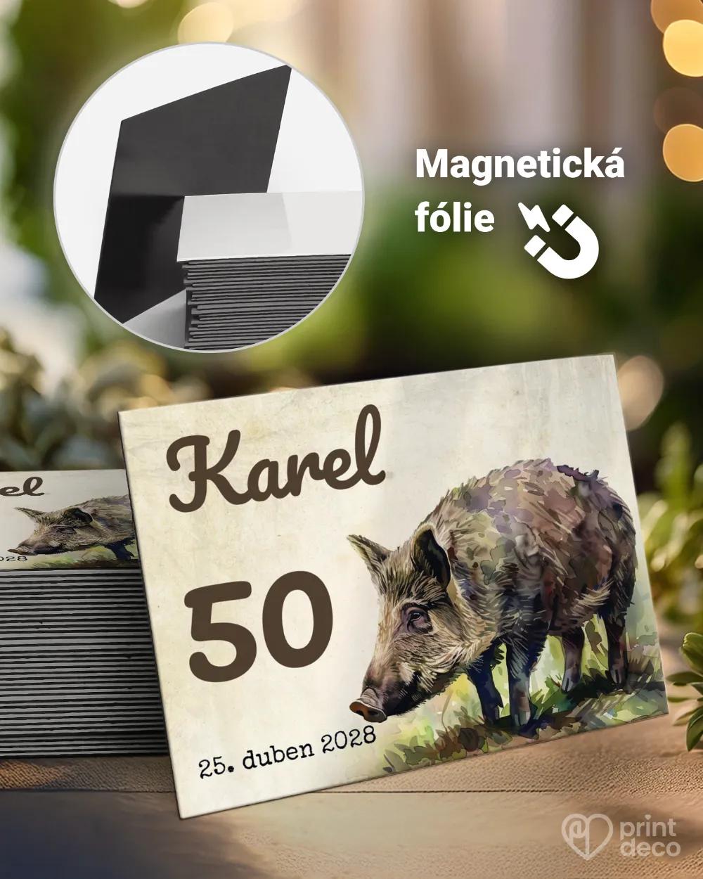 Památeční magnetky z oslavy Divočák III.