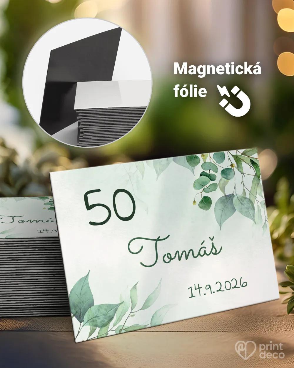 Památeční magnetky z oslavy Greenery V.