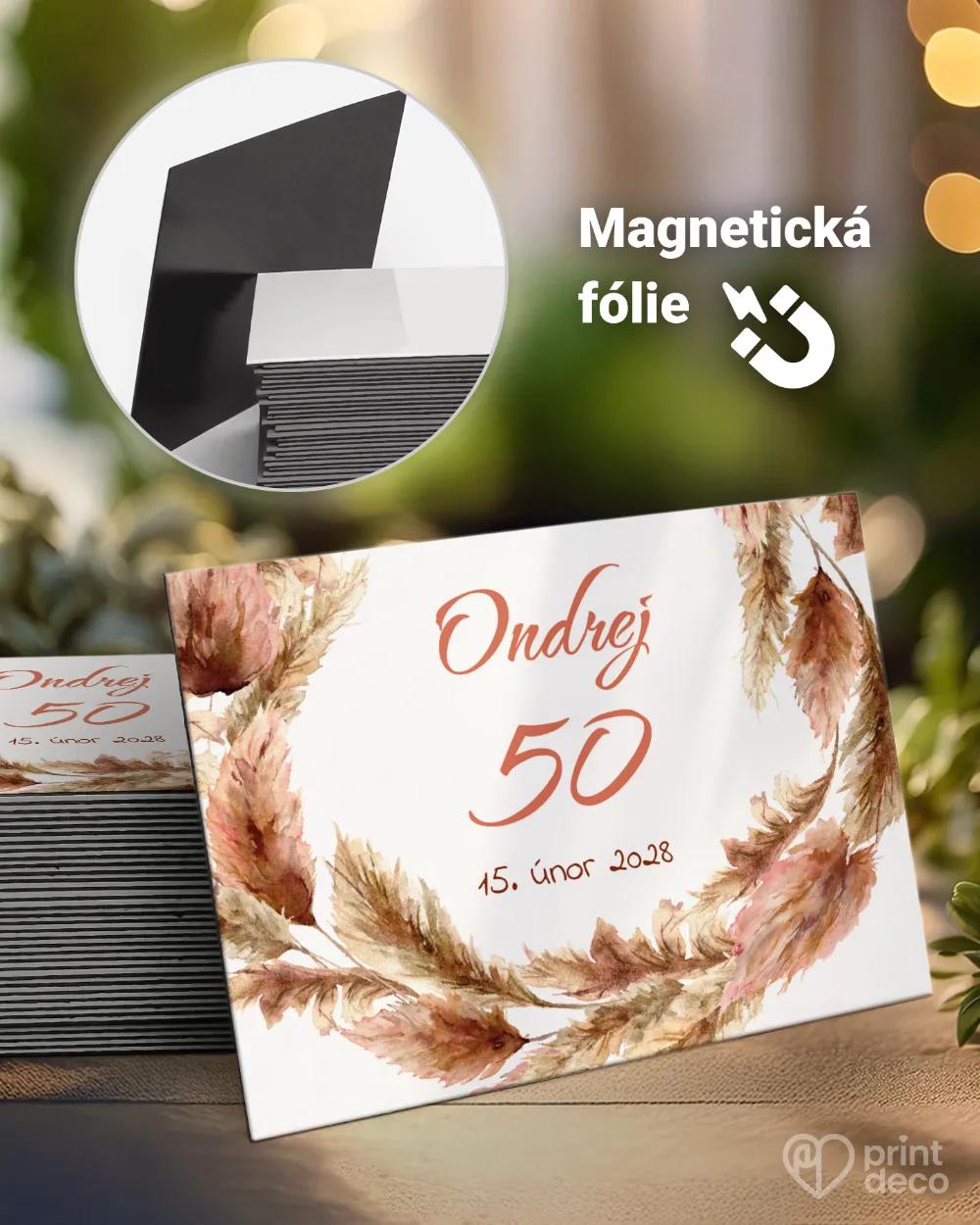 Památeční magnetky z oslavy Bohem I.