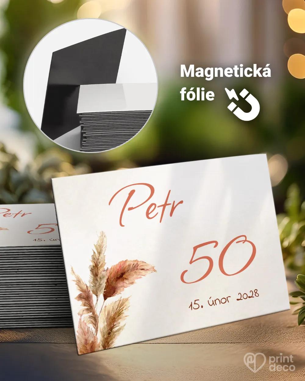 Památeční magnetky z oslavy Bohem II.