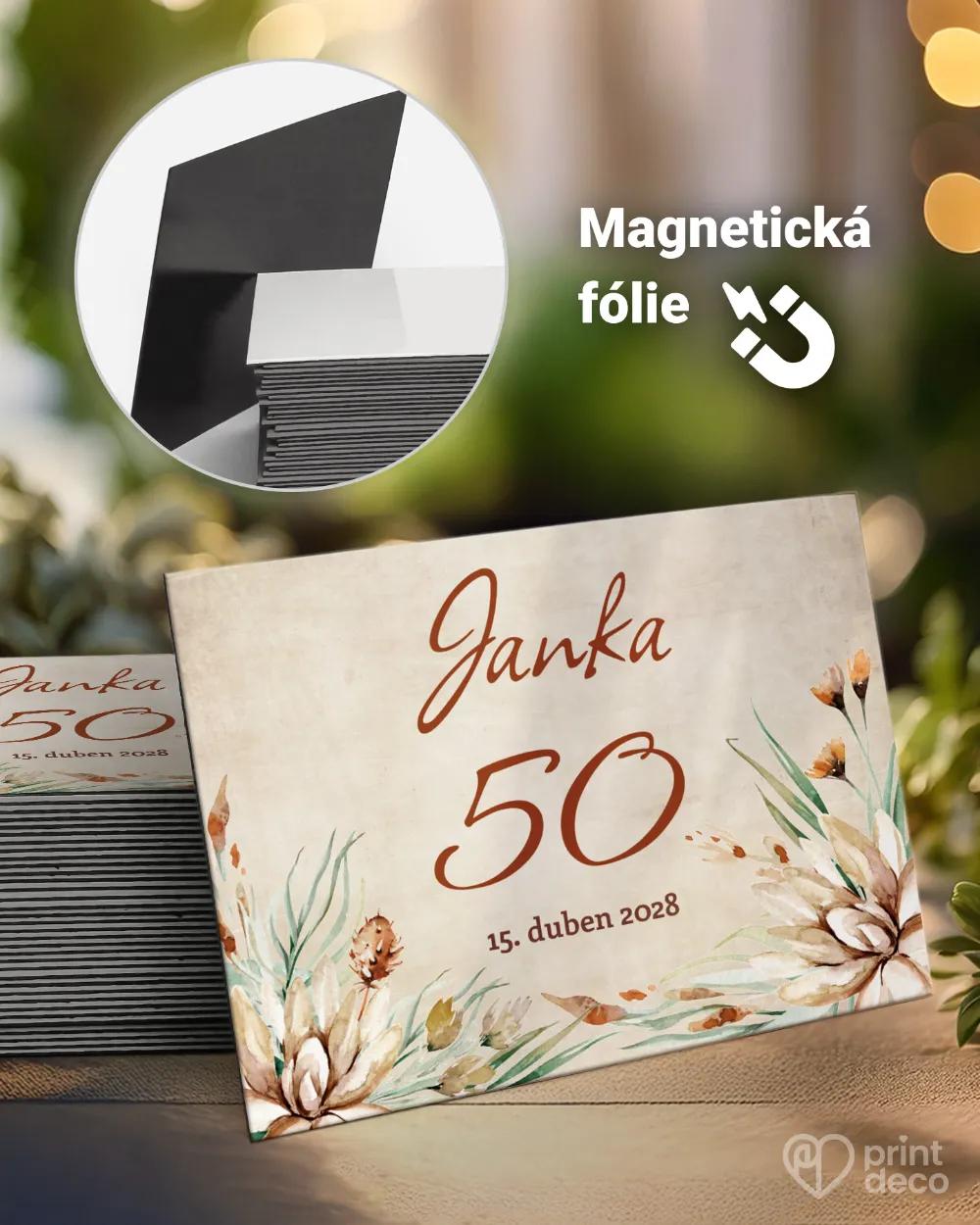 Památeční magnetky z oslavy Savana