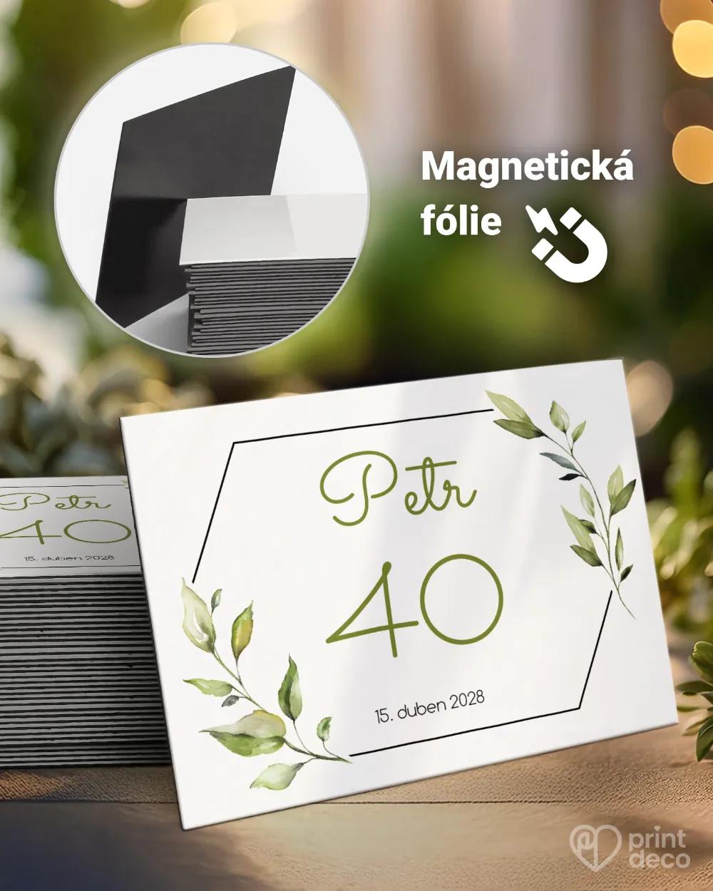 Památeční magnetky z oslavy Greenery VI.