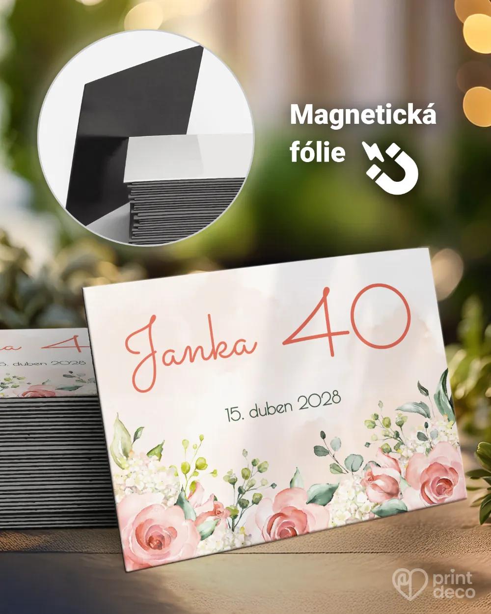 Památeční magnetky z oslavy Šípkové růže VIII.